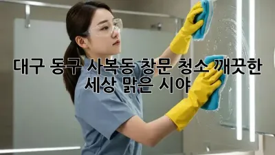 대구 동구 사복동 창문 청소: 깨끗한 세상, 맑은 시야