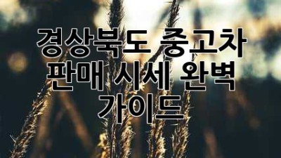 경상북도 중고차 판매 시세 완벽 가이드